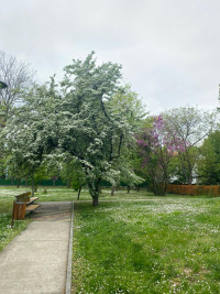 Park at the Museum of African Art